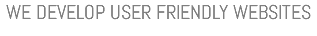 WE DEVELOP USER FRIENDLY WEBSITES 